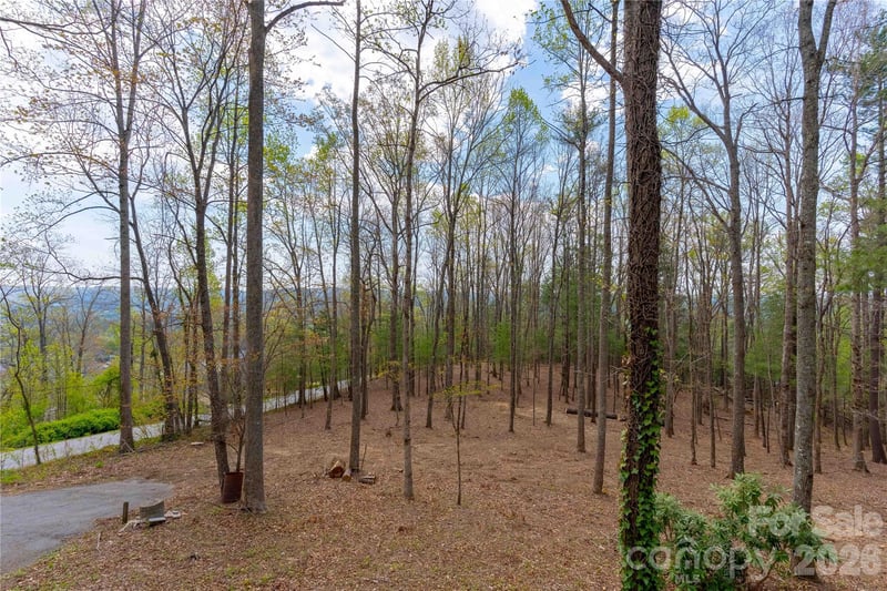 39 Tatham Rd, Hendersonville, NC 28792