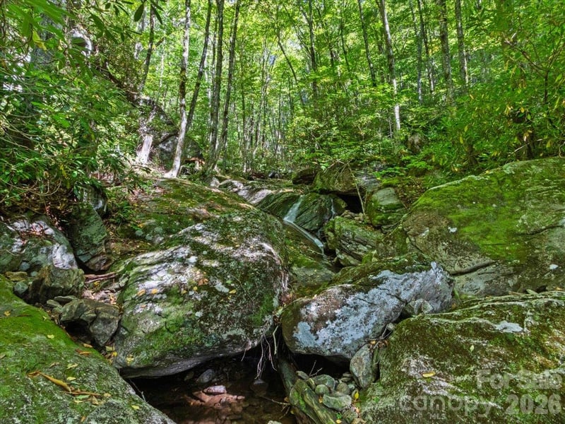 2554 Winter Star Rd, Burnsville, NC 28714