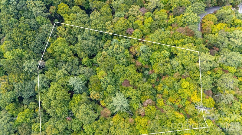 49R Quartz Mine Rd #49R, Lake Toxaway, NC 28747
