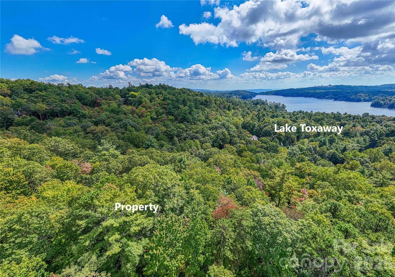 49R Quartz Mine Rd #49R, Lake Toxaway, NC 28747