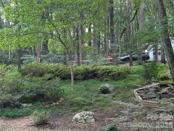 19 Springwood Dr, Asheville, NC 28805
