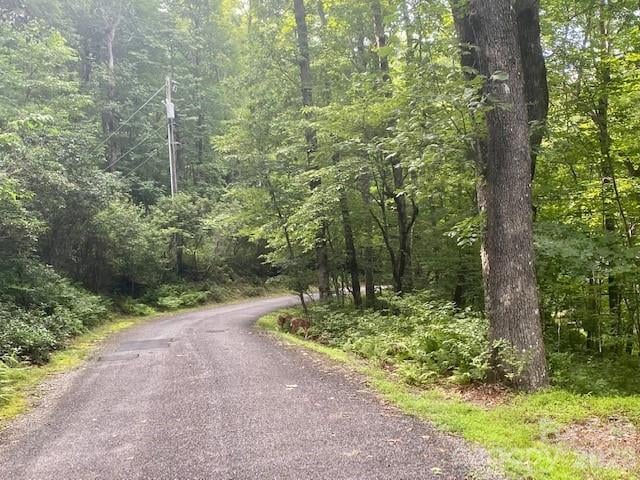 99999 Galax Ln #B-12, Brevard, NC 28712