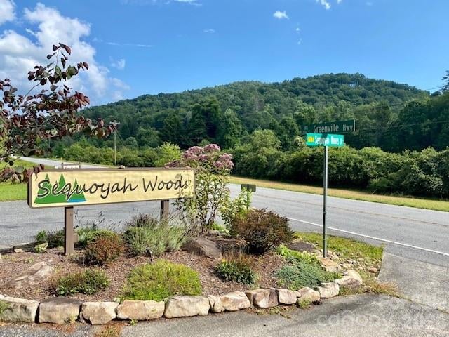 99999 Galax Ln #B-12, Brevard, NC 28712