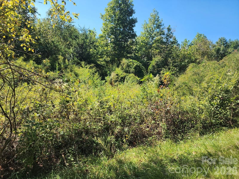 0 Freemantown Rd, Lake Lure, NC 28746