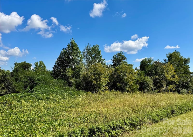 0 Freemantown Rd, Lake Lure, NC 28746