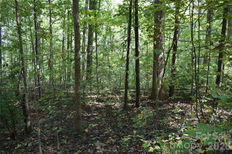 0 Rolling Rd, Lincolnton, NC 28092