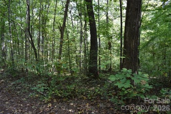 0 Rolling Rd, Lincolnton, NC 28092
