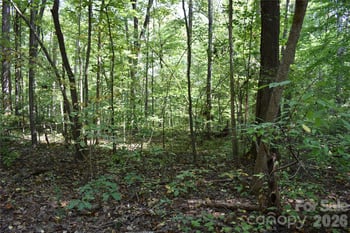 0 Rolling Rd, Lincolnton, NC 28092