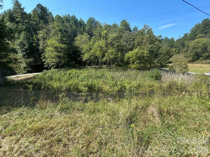 2635 Lower Gabriels Creek Rd, Mars Hill, NC 28754