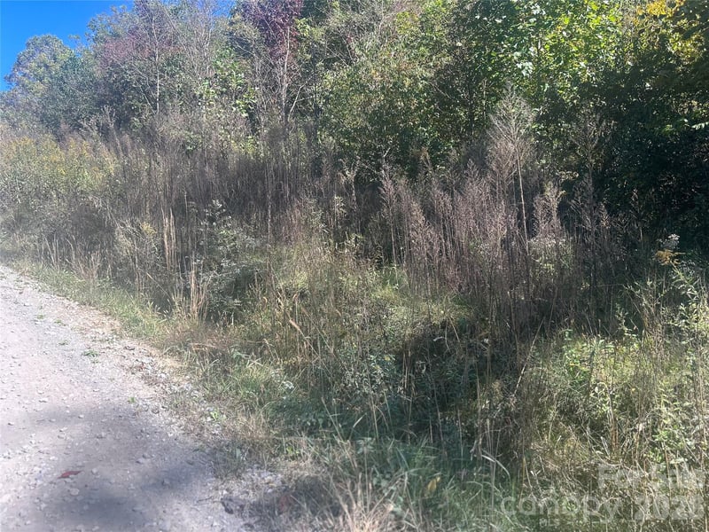 00 Split Pine Cv, Clyde, NC 28721