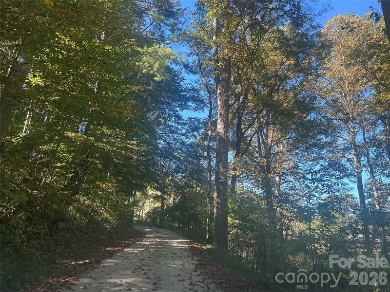 00 Split Pine Cv, Clyde, NC 28721