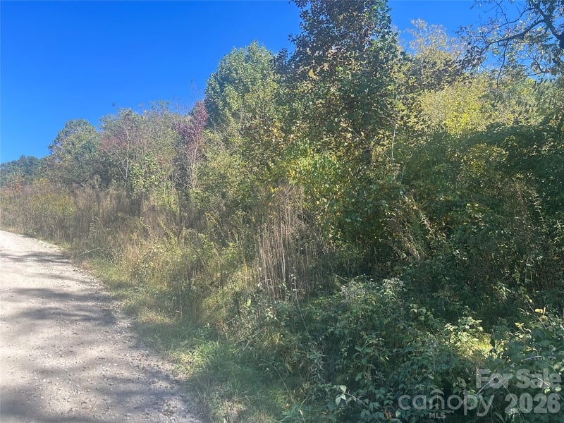 00 Split Pine Cv, Clyde, NC 28721