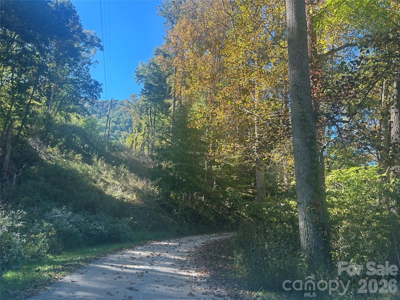 00 Split Pine Cv, Clyde, NC 28721