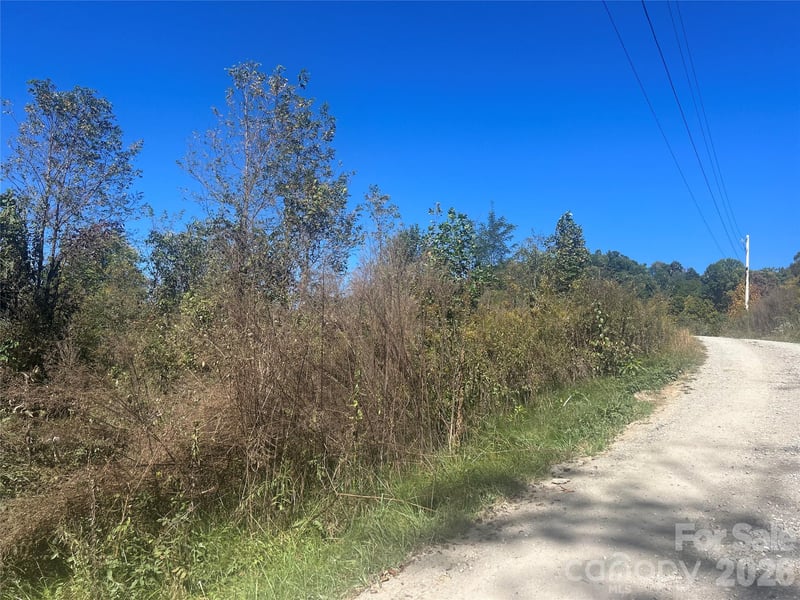 00 Split Pine Cv, Clyde, NC 28721