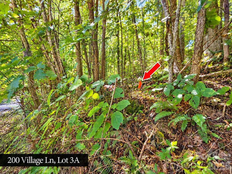 200 Village Ln #3A, Waynesville, NC 28786