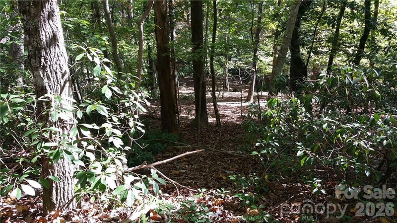 0 Grandview Dr #83, Lake Lure, NC 28746