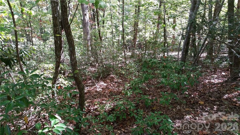 0 Grandview Dr #83, Lake Lure, NC 28746