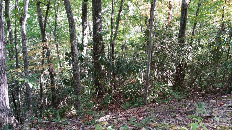 0 Grandview Dr #83, Lake Lure, NC 28746