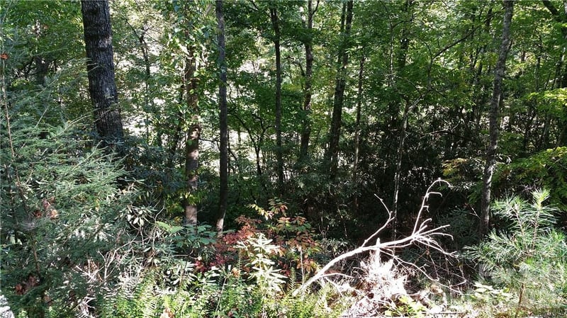 0 Grandview Dr #83, Lake Lure, NC 28746