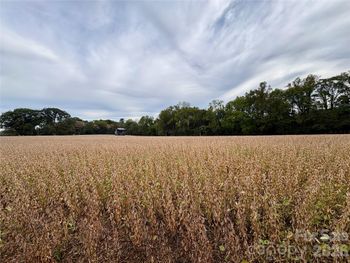 292 Williamsburg Rd, Olin, NC 28660