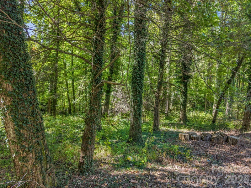 242 Summer Haven Rd, Swannanoa, NC 28778