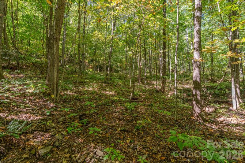 29 Wood Haven Ln, Black Mountain, NC 28711