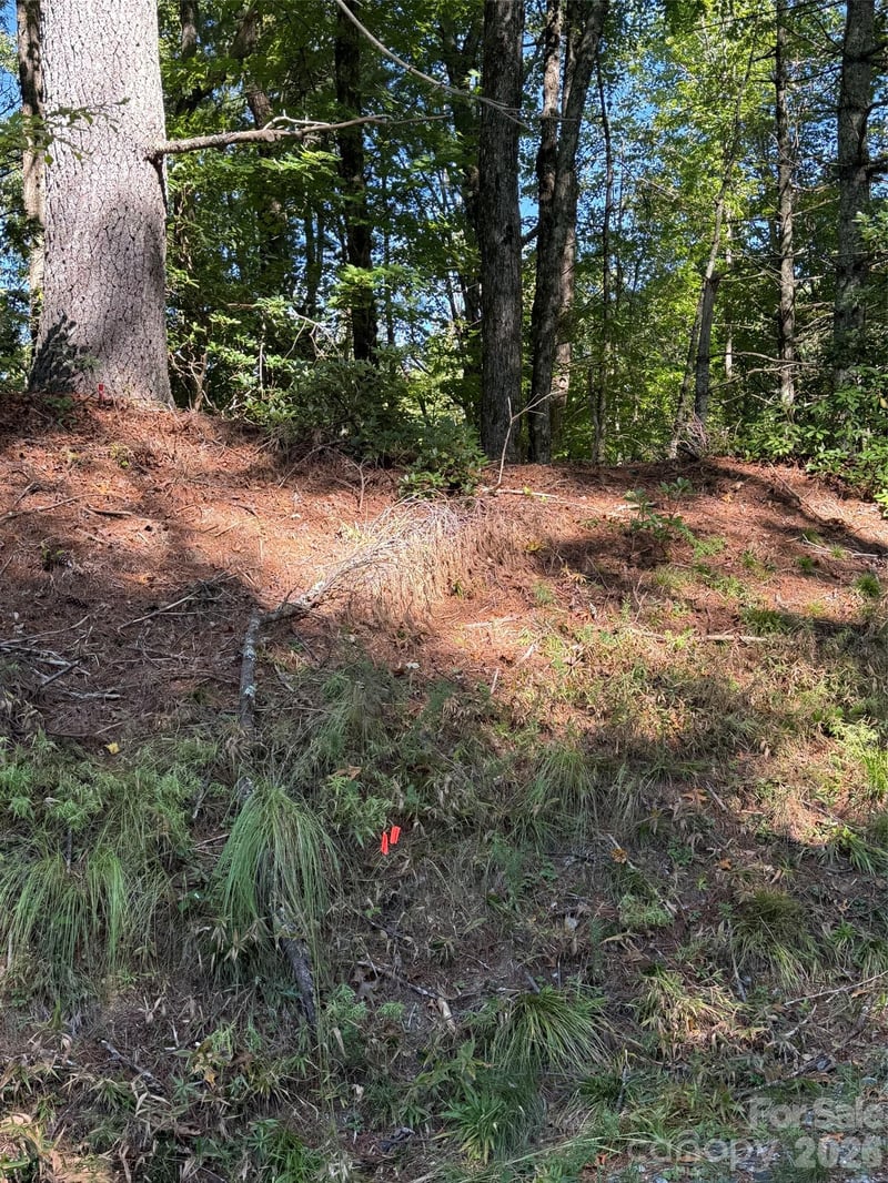 TBD U24 Lot19 Tlugvi Ct #19/24, Brevard, NC 28712