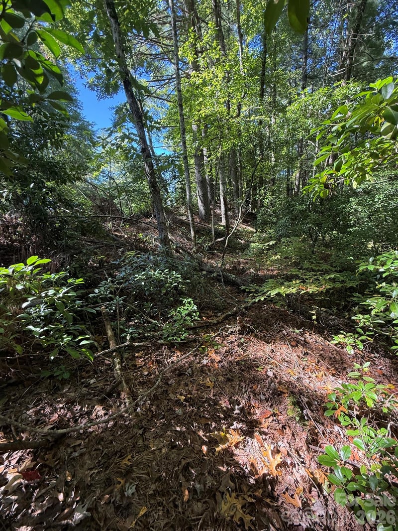 TBD U24 Lot19 Tlugvi Ct #19/24, Brevard, NC 28712