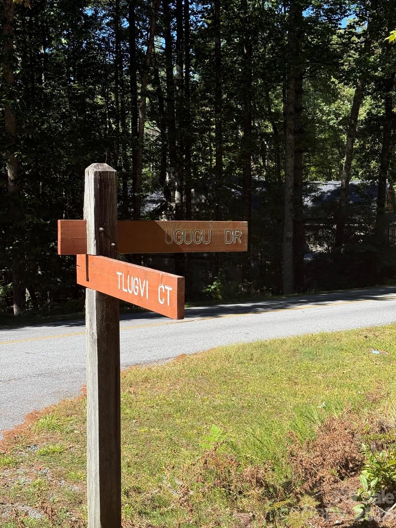 TBD U24 Lot19 Tlugvi Ct #19/24, Brevard, NC 28712