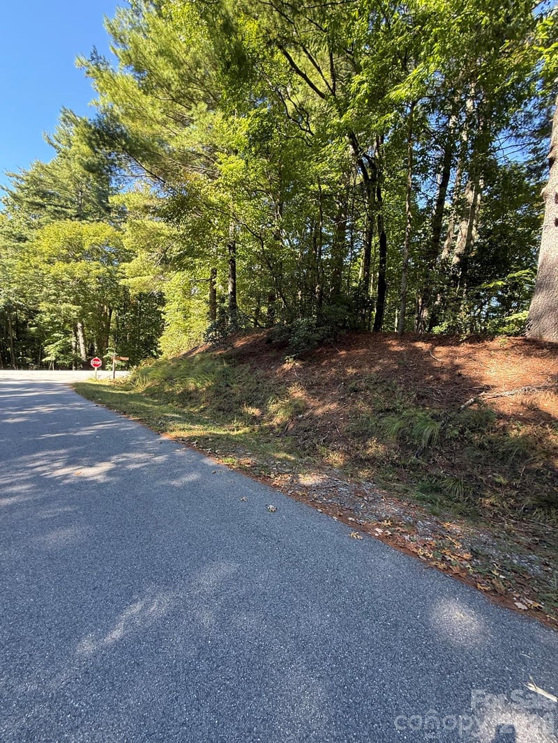 TBD U24 Lot19 Tlugvi Ct #19/24, Brevard, NC 28712