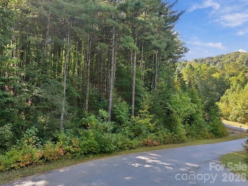 7 Spruce Tree Ct, Leicester, NC 28748
