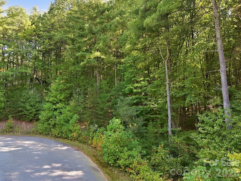 7 Spruce Tree Ct, Leicester, NC 28748