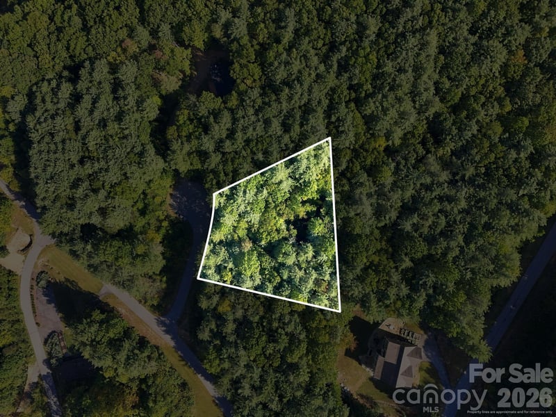 7 Spruce Tree Ct, Leicester, NC 28748