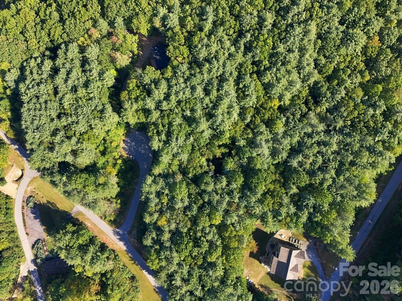 7 Spruce Tree Ct, Leicester, NC 28748