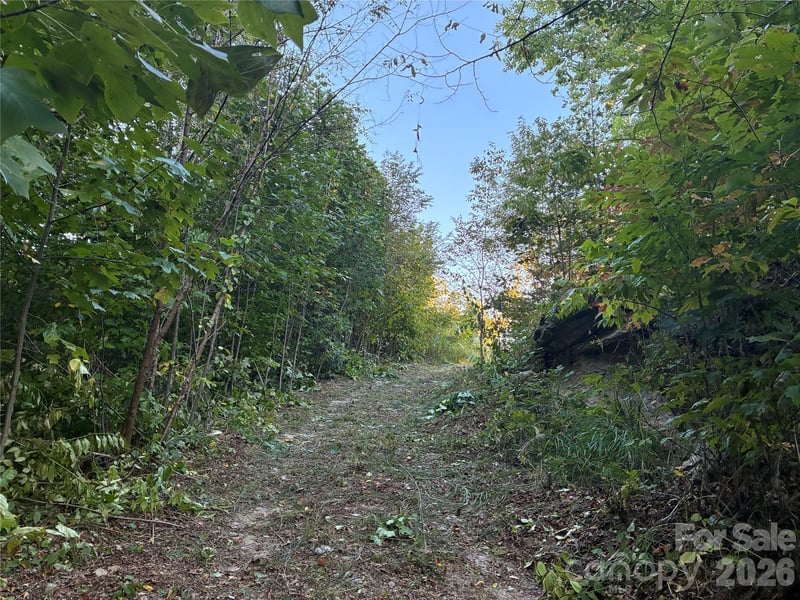 0 Corn Mountain Rd, Hendersonville, NC 28792