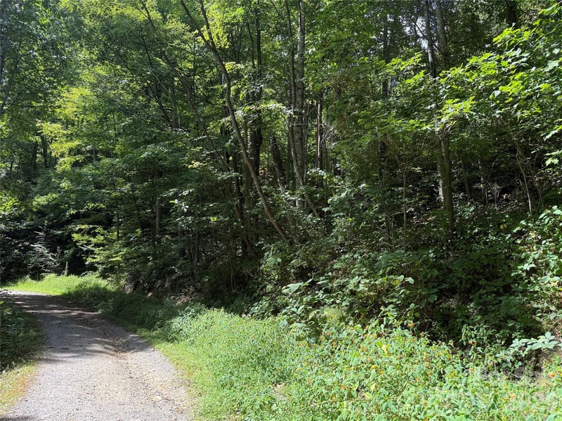 35 Chandra Ln, Clyde, NC 28721