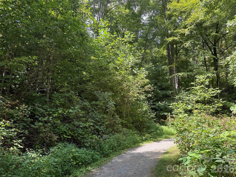 35 Chandra Ln, Clyde, NC 28721