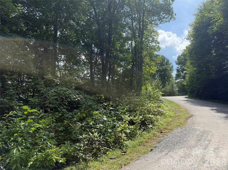 35 Chandra Ln, Clyde, NC 28721