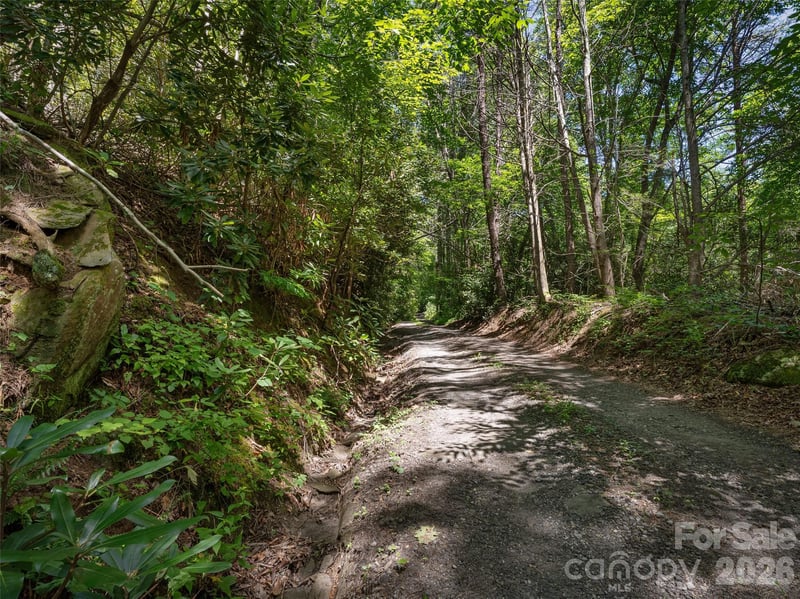 23.53 Acres Ballard Creek Rd, Fairview, NC 28730