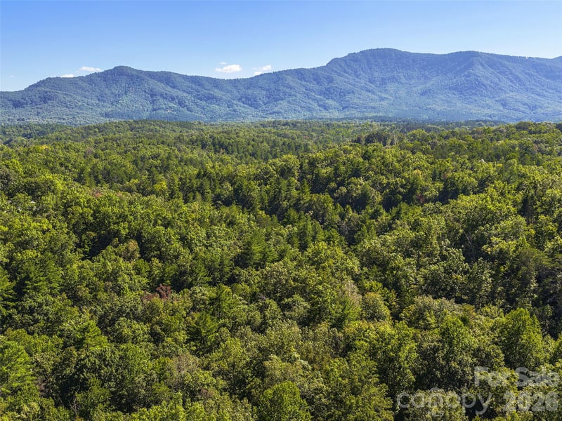 0 Ostin Creek Trl, Mill Spring, NC 28756