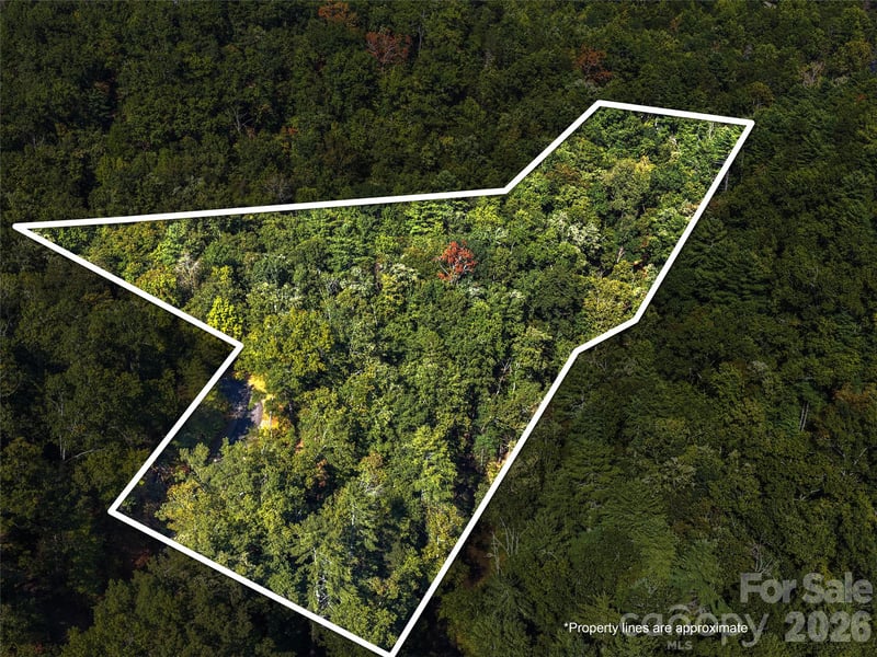 0 Ostin Creek Trl, Mill Spring, NC 28756