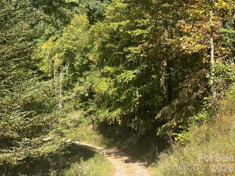 00 Gibson Branch Rd #7, Clyde, NC 28721
