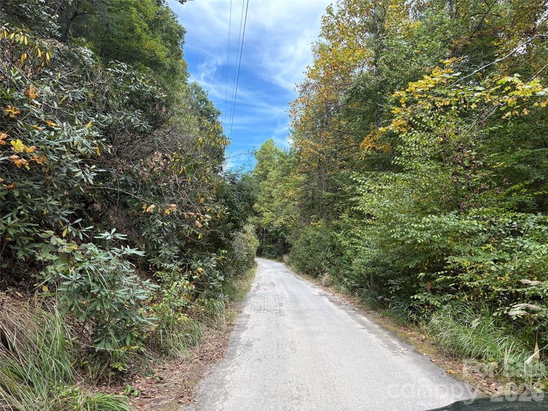 81 Bird Creek Estates Rd, Black Mountain, NC 28711