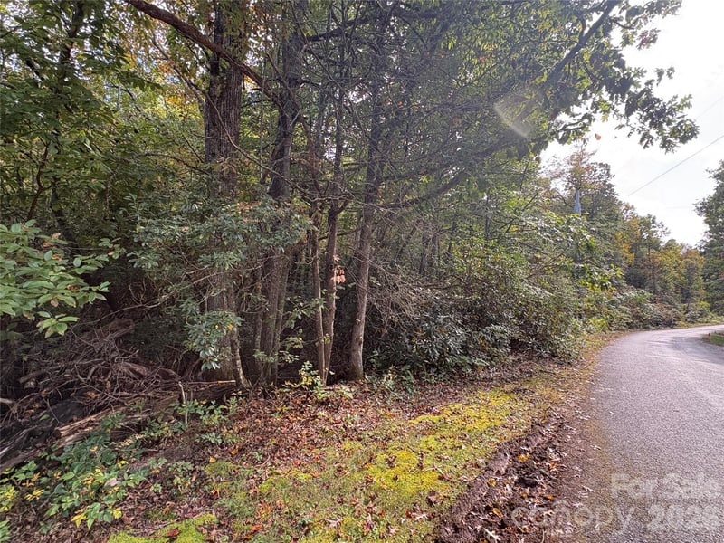 81 Bird Creek Estates Rd, Black Mountain, NC 28711