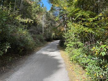 81 Bird Creek Estates Rd, Black Mountain, NC 28711
