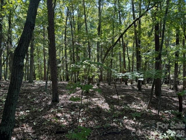 00 Washington Ridge Rd, Statesville, NC 28677
