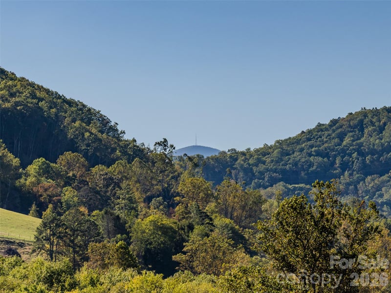 103 Hayes Ridge Ln, Mills River, NC 28759