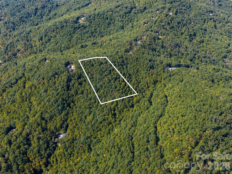 TBD Orange Plum Ln #4, Asheville, NC 28803