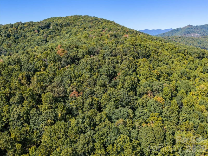 TBD Orange Plum Ln #4, Asheville, NC 28803