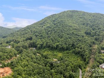 99 Settings Blvd #3 A-12, Black Mountain, NC 28711